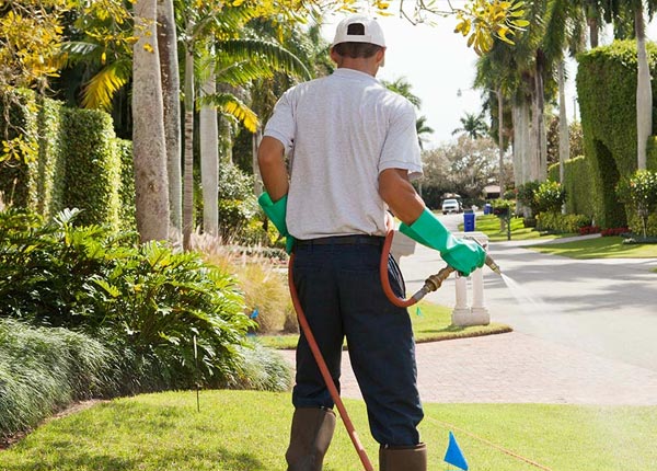 About Coyote NM Pest Control